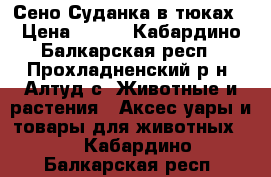 Сено-Суданка в тюках › Цена ­ 100 - Кабардино-Балкарская респ., Прохладненский р-н, Алтуд с. Животные и растения » Аксесcуары и товары для животных   . Кабардино-Балкарская респ.